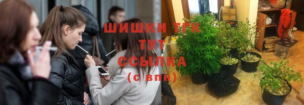 МДПВ Алзамай