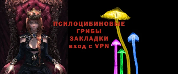 МДПВ Алзамай