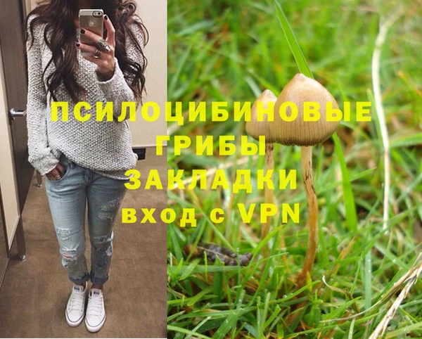 МДПВ Алзамай