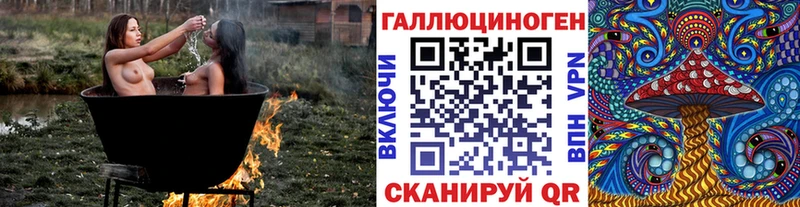 omg вход Лаишево Галлюциногенные грибы Psilocybine cubensis наркошоп